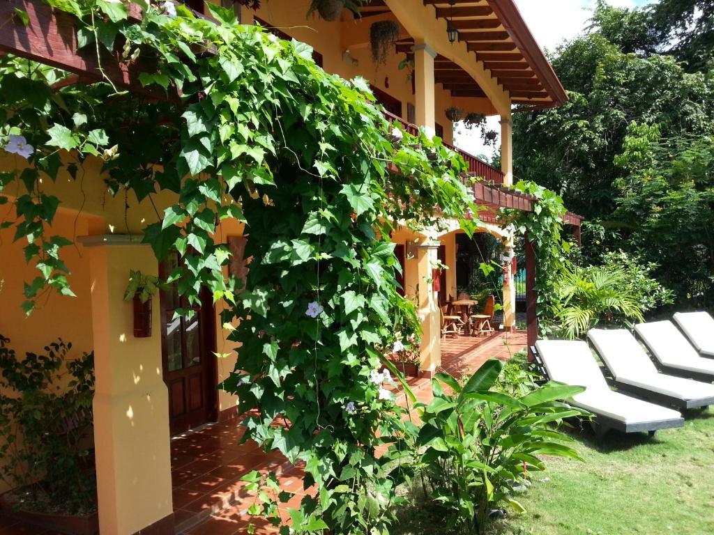 Hotel Green Jacó Εξωτερικό φωτογραφία